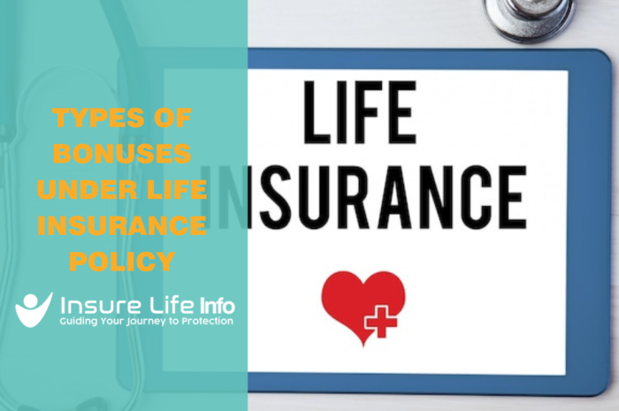 Types of Bonuses Under Life Insurance Policy