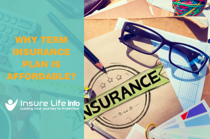 Why Term Insurance Plan is Affordable?